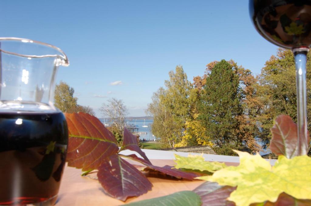 Hotel Gasthof Seefelder Hof Diessen am Ammersee Phòng bức ảnh